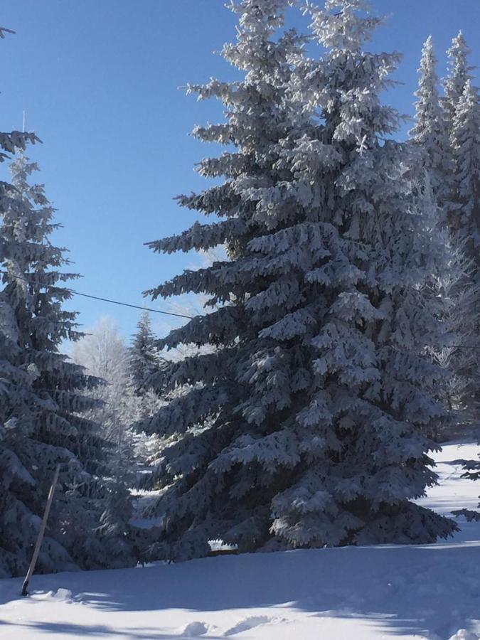 Raška Golija Vikendica Cesta Vrelaヴィラ エクステリア 写真