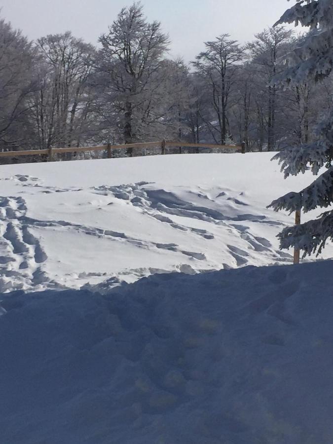 Raška Golija Vikendica Cesta Vrelaヴィラ エクステリア 写真