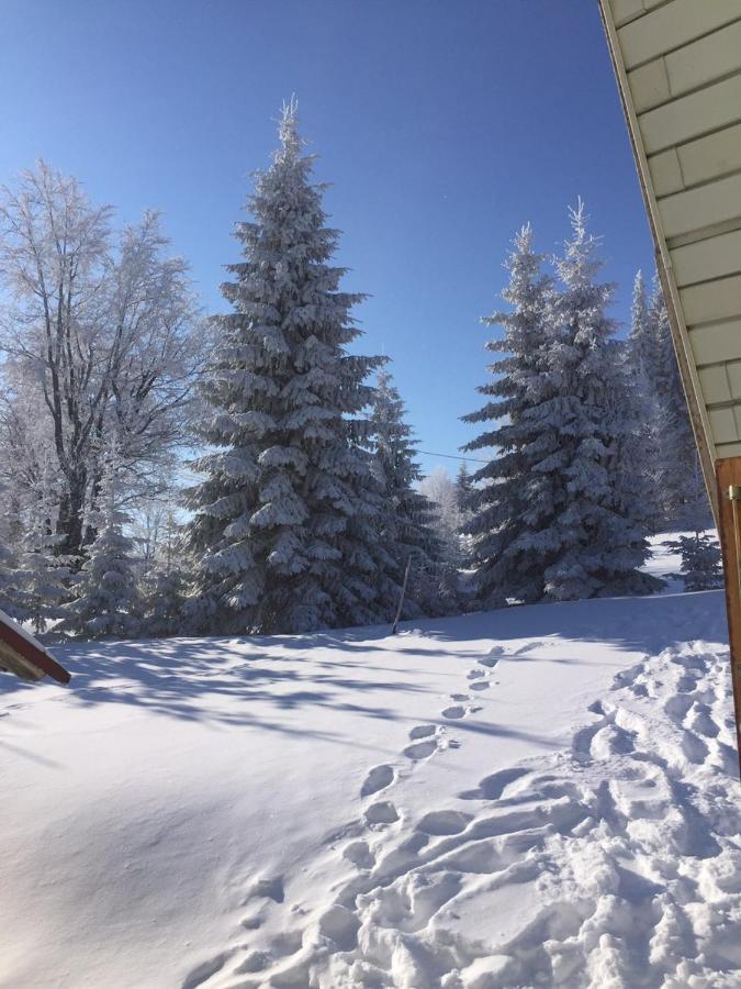 Raška Golija Vikendica Cesta Vrelaヴィラ エクステリア 写真